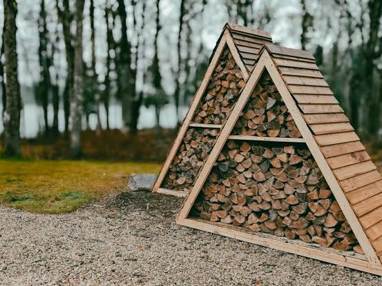 Handbuilt A-frame firewood shed set in place, framed with birch trees behind it